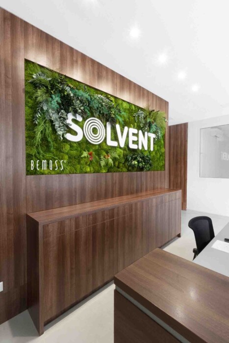 Stěna z mechu a rostlin + logo SOLVENT