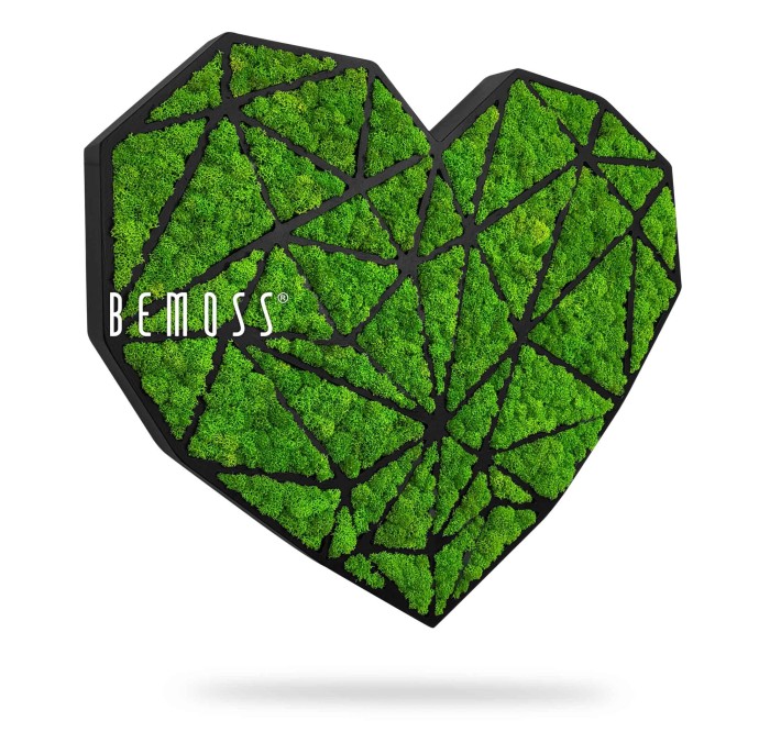 kus zelené trávy ve tvaru srdce se slovem bemos napsaným bílým písmem na bílém pozadí, mechová stěna, mechové dekorace, obraz z mechu, mechová zeď, mechovy obraz, dekorativní mech