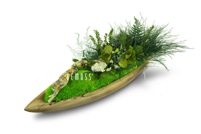 loď s kyticí sedí na zelené trávě pokryté povrchu s bílým pozadím, mechová stěna, mechové dekorace, obraz z mechu, mechová zeď, mechovy obraz, dekorativní mech
