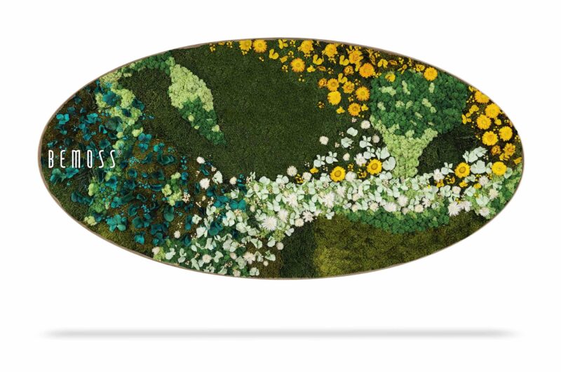 Mechový obraz Elipsa ROSTLINY Acre