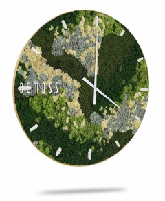 hodiny se zeleným a žlutým designem na ciferníku a čísly na ciferníku, mechová stěna, mechové dekorace, obraz z mechu, mechová zeď, mechovy obraz, dekorativní mech