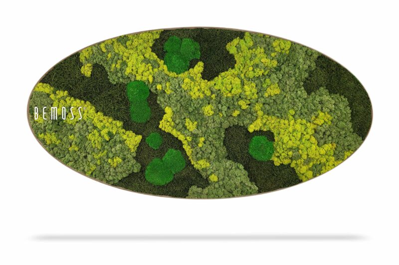 Mechový obraz Elipsa BEMOSS® ORTHO LIME