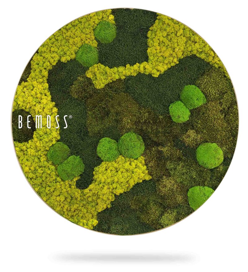 Mechový obraz kruh BEMOSS® ORTHO BORJA mono