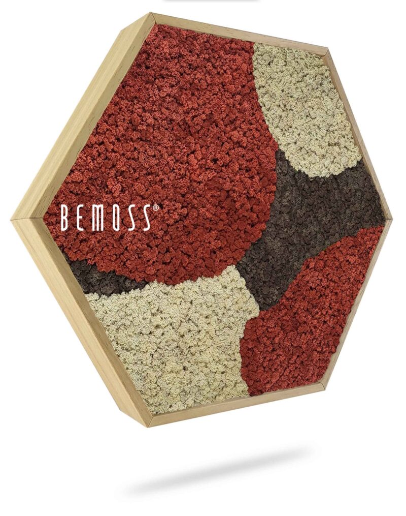 Mechový Hexagon BEMOSS® ORTHO SIENNA