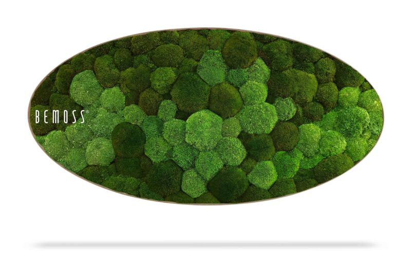 Mechový obraz Elipsa BOLMOSS DUO Natural Green