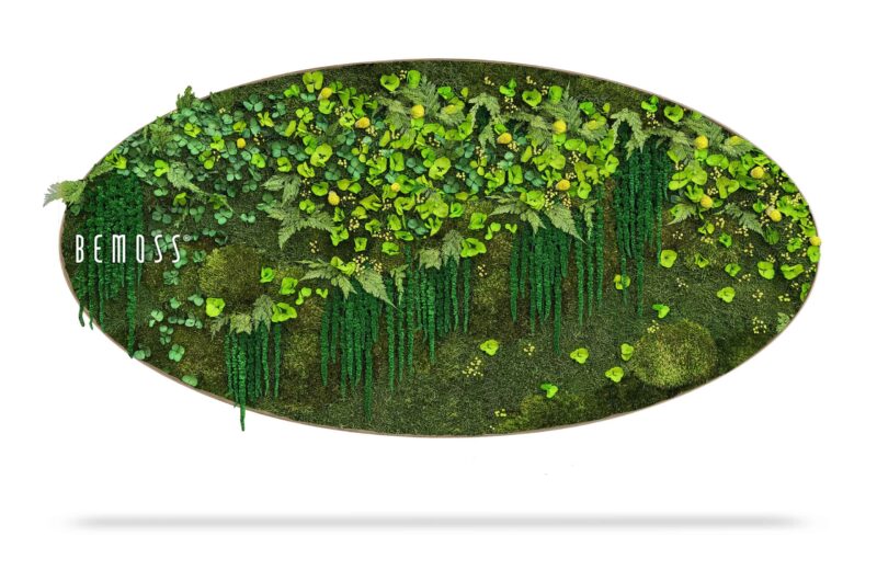 Mechový obraz Elipsa ROSTLINY  Lomo