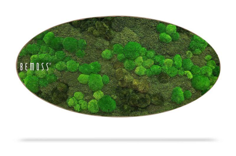 Mechový obraz Elipsa BOLMOSS Minerva