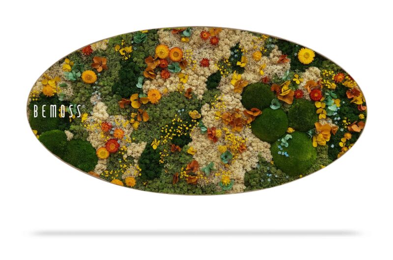 Mechový obraz Elipsa ROSTLINY  Cadalso