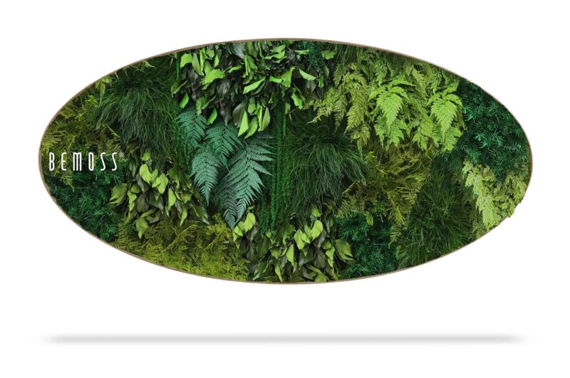 Mechový obraz Elipsa ROSTLINY  Lapas