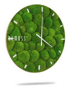 hodiny s mechem a nápis mech napsaný bílými písmeny na zeleném pozadí, mechová stěna, mechové dekorace, obraz z mechu, mechová zeď, mechovy obraz, dekorativní mech
