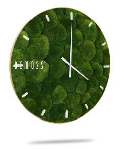 hodiny s mechem na ciferníku a bílým nápisem mech na ciferníku, mechová stěna, mechové dekorace, obraz z mechu, mechová zeď, mechovy obraz, dekorativní mech