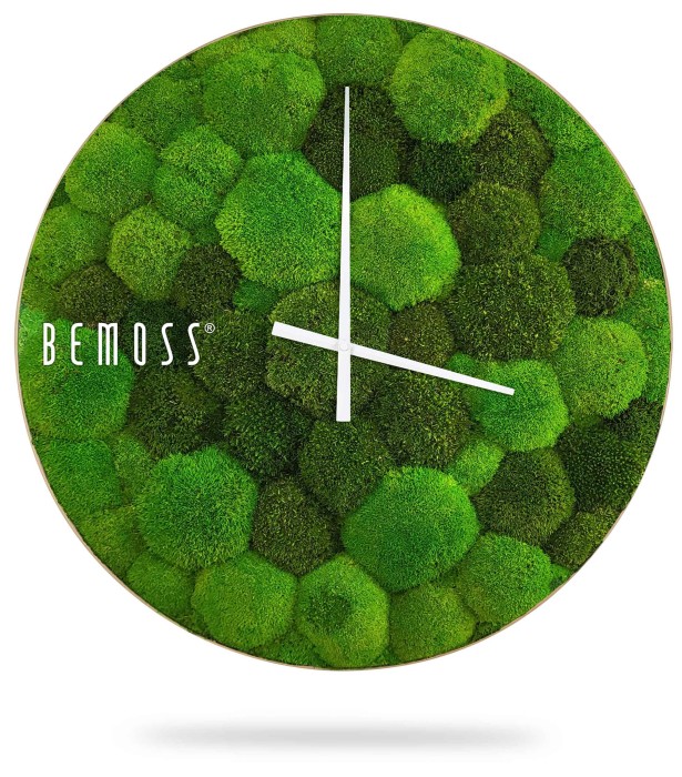 hodiny vyrobené z mechu s nápisem bemos na ciferníku a bílým ciferníkem, mechová stěna, mechové dekorace, obraz z mechu, mechová zeď, mechovy obraz, dekorativní mech