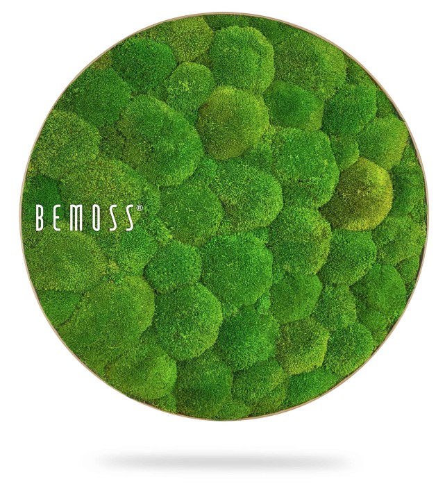 kulatý obrázek s mechem a nápisem be moss bílým písmem na bílém pozadí, mechová stěna, mechové dekorace, obraz z mechu, mechová zeď, mechovy obraz, dekorativní mech