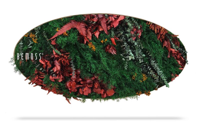 Mechový obraz Elipsa ROSTLINY Zorita