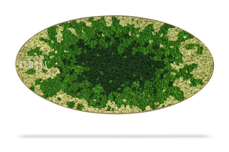 Mechový obraz Elipsa BEMOSS® SPLASH Green