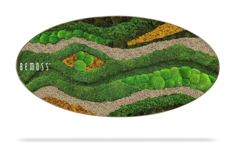 Mechový obraz Elipsa BEMOSS® ORTHO TOCÓN Autumn