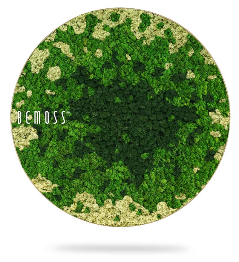 Mechový obraz kruh BEMOSS® SPLASH Green