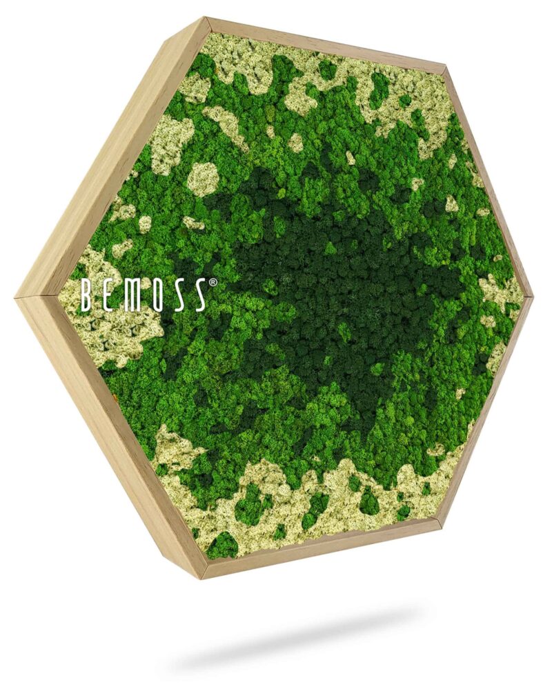 Mechový Hexagon BEMOSS® ORTHO SPLASH Green