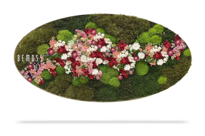 Mechový obraz Elipsa ROSTLINY Acebo PINK