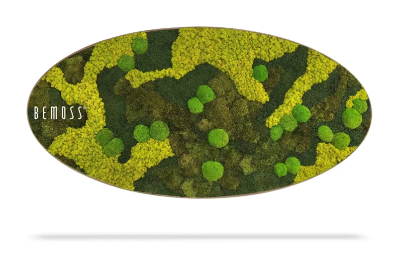 Mechový obraz Elipsa BEMOSS® ORTHO BORJA mono