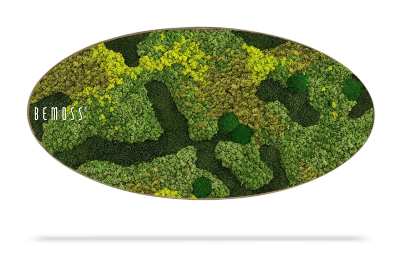 Mechový obraz Elipsa BEMOSS® ORTHO MEDIUM