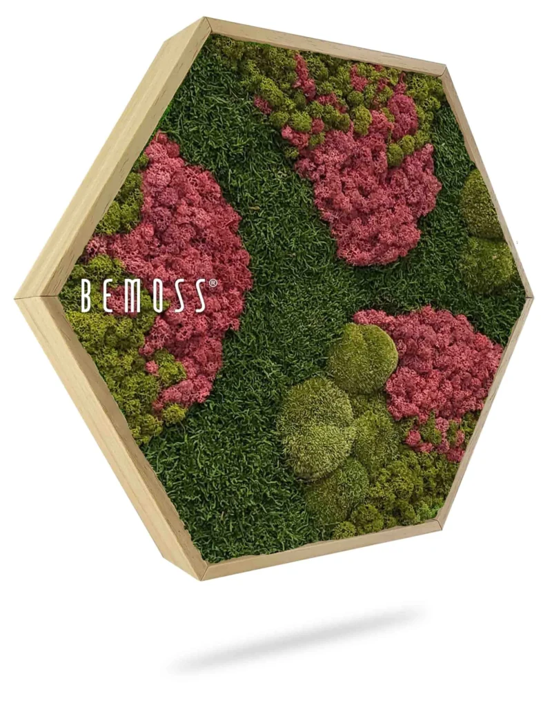 Mechový Hexagon BEMOSS® ORTHO BURGUNDY