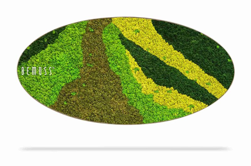 Mechový obraz Elipsa BEMOSS® ORTHO CARROT