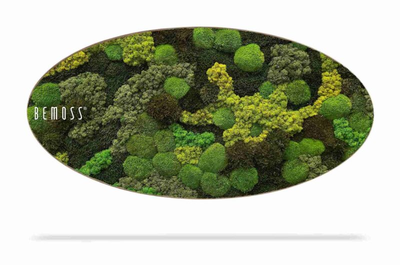 Mechový obraz Elipsa BEMOSS® ORTHO TELDE