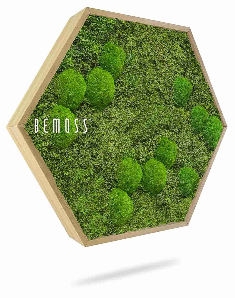 Mechový Hexagon FLATMOSS & BOLMOSS Aves