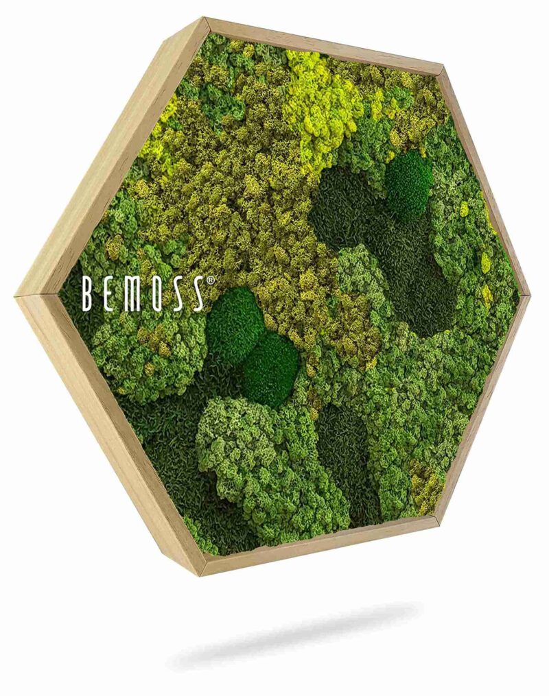 Mechový Hexagon BEMOSS® ORTHO MEDIUM