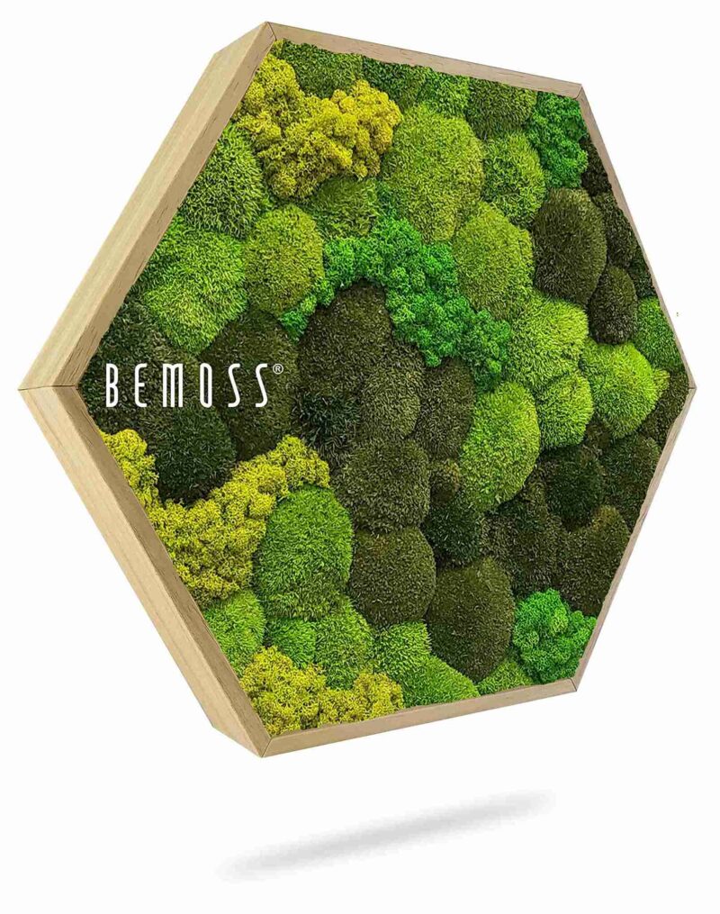 Mechový Hexagon BOLMOSS DUO Light Anento