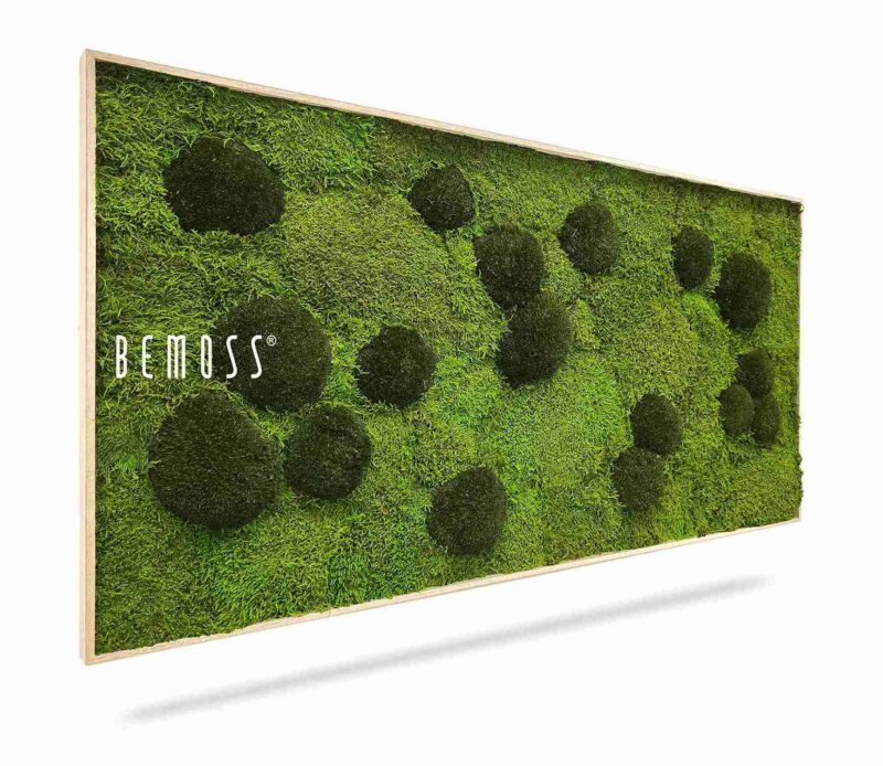 Mechový obraz FLATMOSS & BOLMOSS Peva