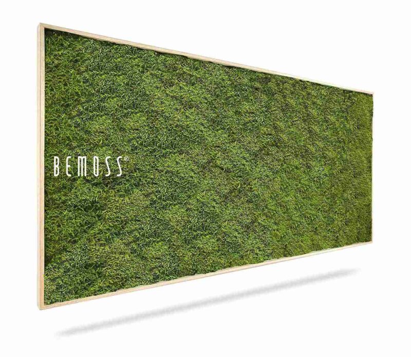 Mechový obraz FLATMOSS Light