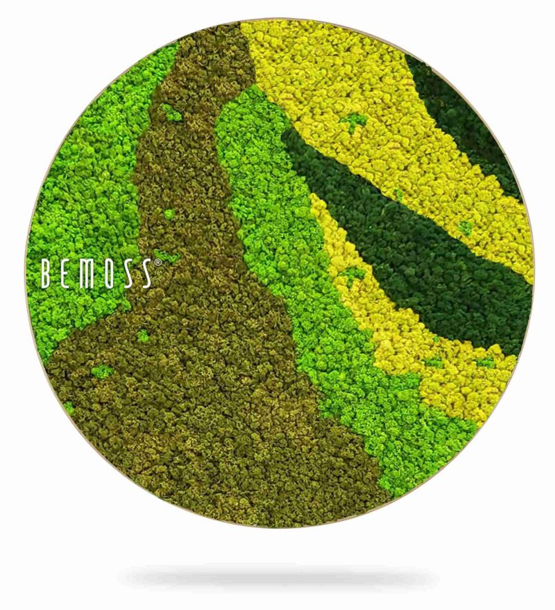 Mechový obraz kruh BEMOSS® ORTHO CARROT