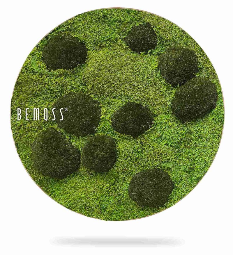 Mechový obraz kruh FLATMOSS & BOLMOSS Peva