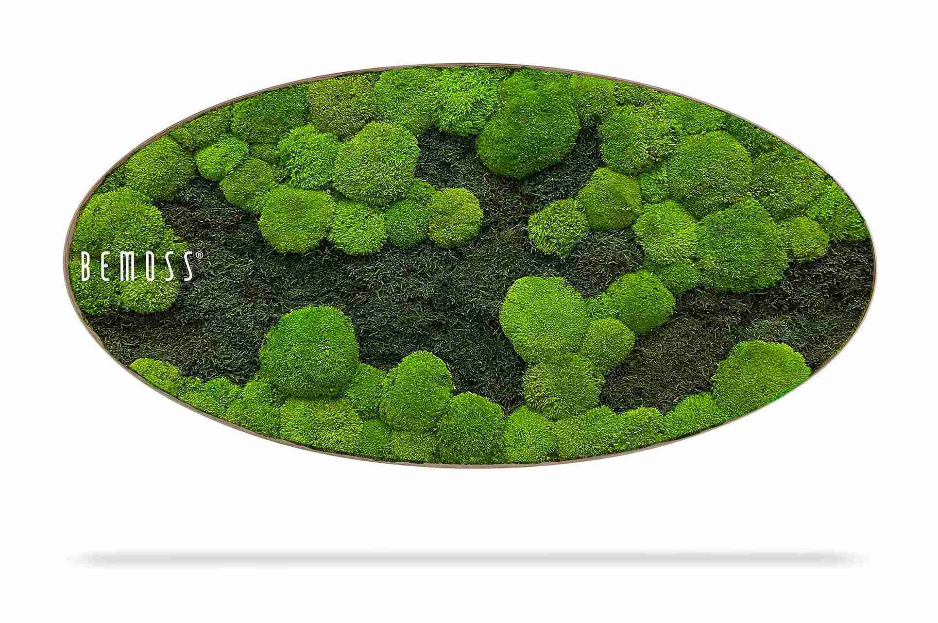Mechový obraz Elipsa FLATMOSS&BOLMOSS DUO Light Green - Obrázek 1