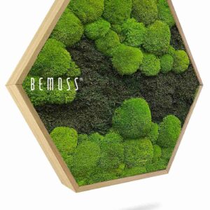 Mechový Hexagon FLATMOSS&BOLMOSS DUO Light Green - Thumbnail Image 1