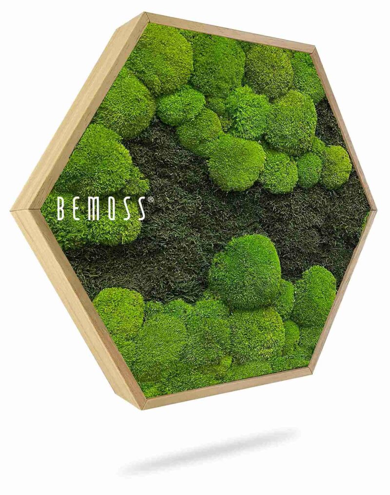 Mechový Hexagon FLATMOSS&BOLMOSS DUO Light Green