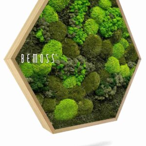 Mechový Hexagon BEMOSS® ORTHO DOVEN - Thumbnail Image 1