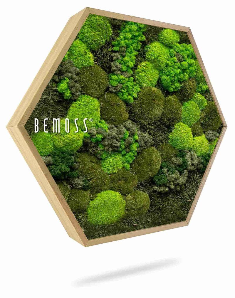 Mechový Hexagon BEMOSS® ORTHO DOVEN