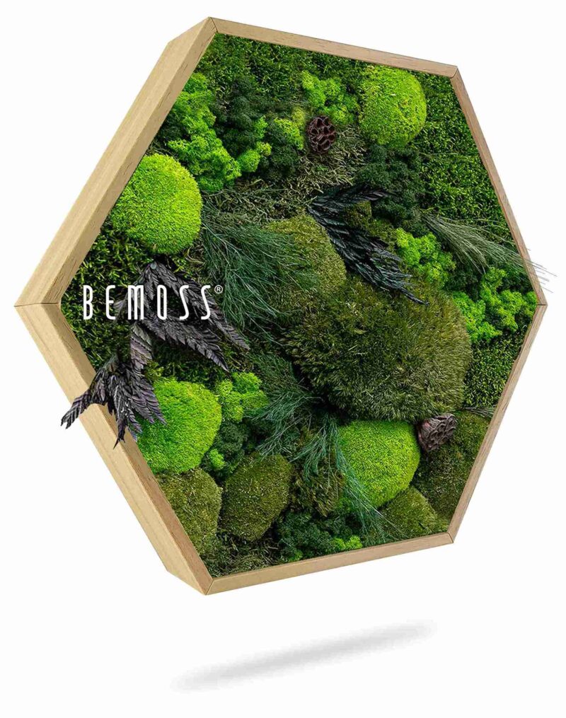 Mechový Hexagon ROSTLINY Amar