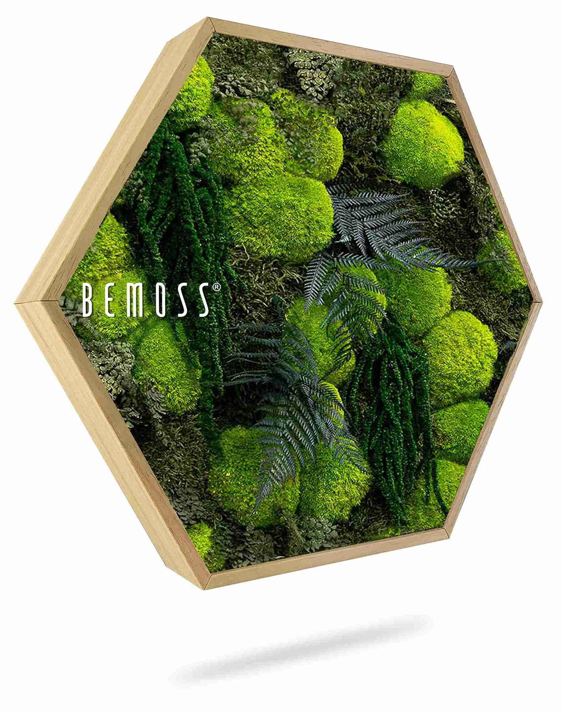 Mechový Hexagon ROSTLINY Varex - Obrázek 1