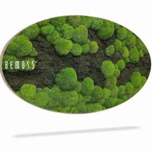 Mechový obraz Elipsa FLATMOSS&BOLMOSS DUO Light Green - Thumbnail Image 2