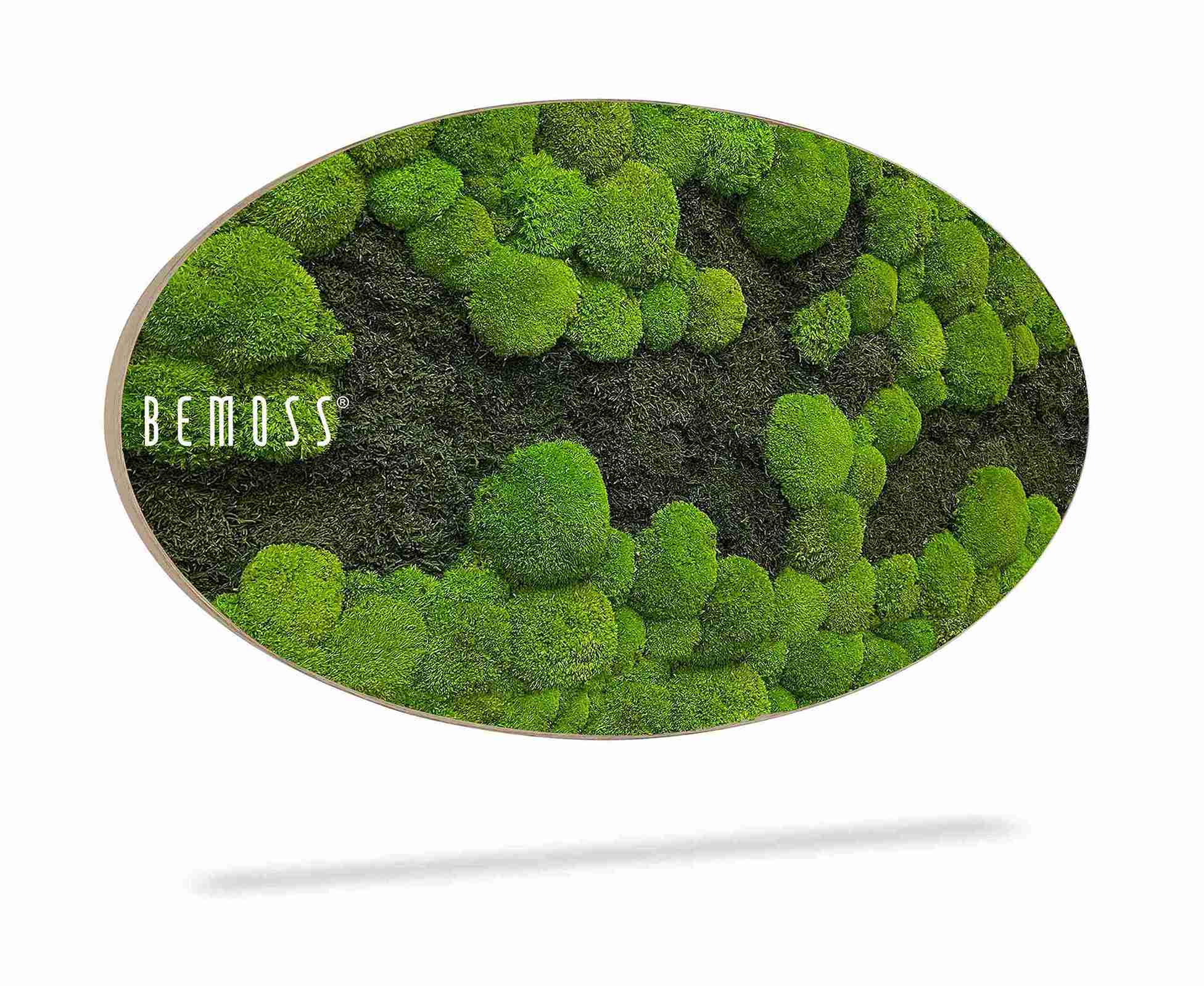 Mechový obraz Elipsa FLATMOSS&BOLMOSS DUO Light Green - Obrázek 2