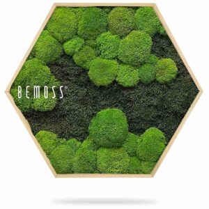 Mechový Hexagon FLATMOSS&BOLMOSS DUO Light Green - Thumbnail Image 2
