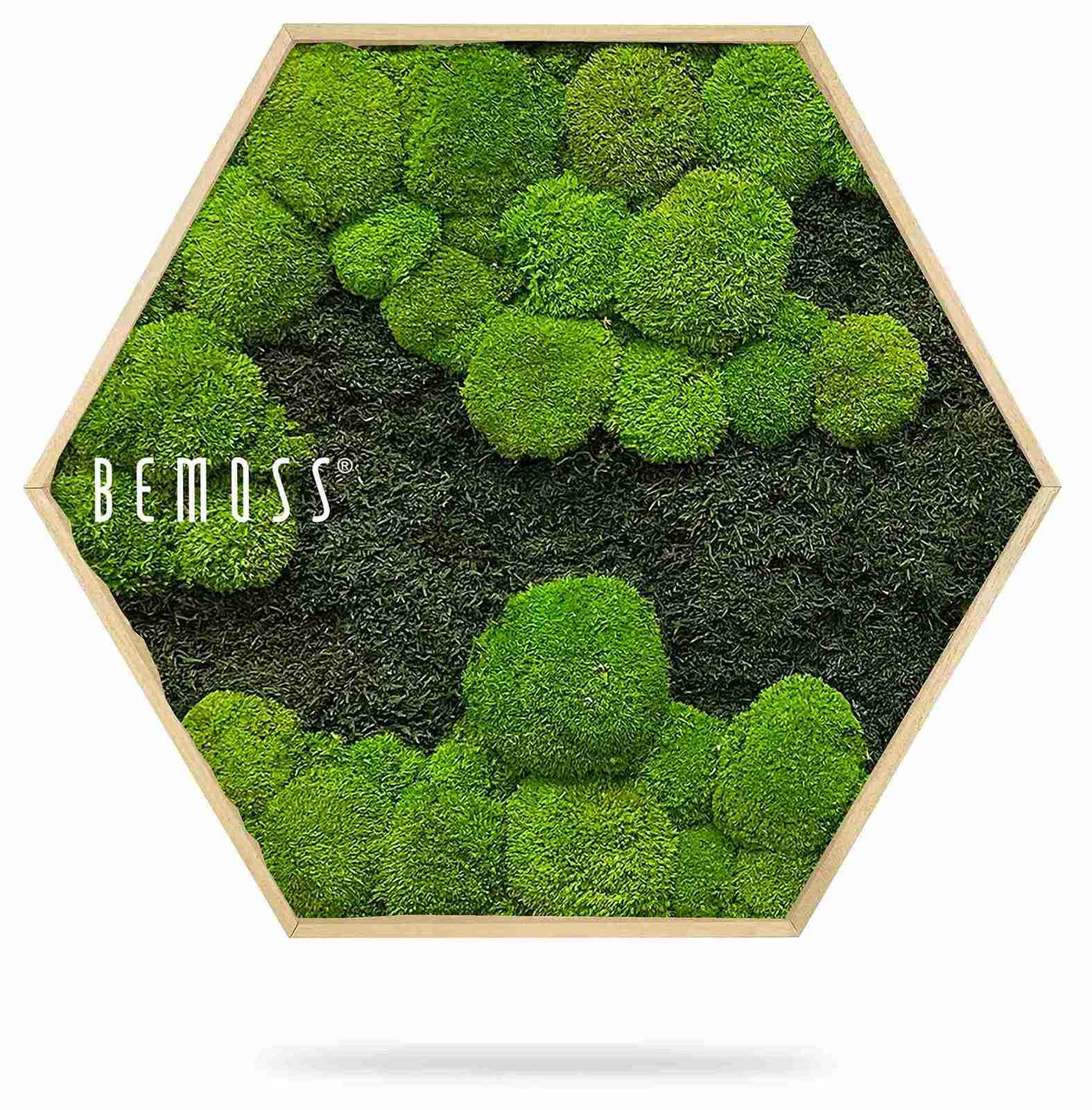 Mechový Hexagon FLATMOSS&BOLMOSS DUO Light Green - Obrázek 2