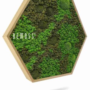 Mechový Hexagon BEMOSS® ORTHO ASEL - Thumbnail Image 1