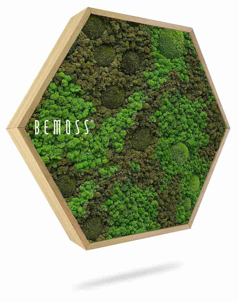Mechový Hexagon BEMOSS® ORTHO ASEL