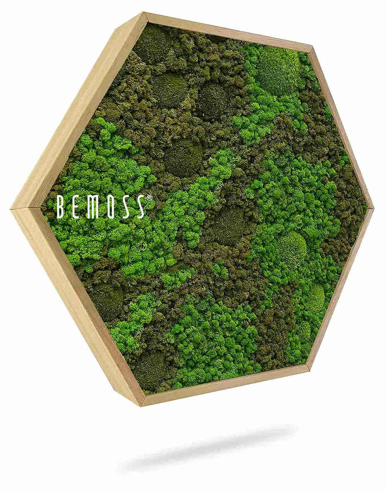 Mechový Hexagon BEMOSS® ORTHO ASEL - Obrázek 1