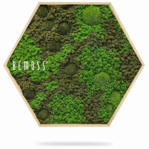 Mechový Hexagon BEMOSS® ORTHO ASEL - Thumbnail Image 2